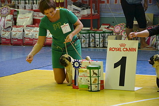 click for enlarge 1920 X 1281 557.4 Kb picture