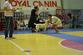 click for enlarge 1920 X 1281 598.0 Kb picture