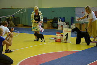 click for enlarge 1920 X 1281 553.1 Kb picture