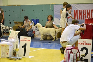 click for enlarge 1920 X 1281 947.0 Kb picture