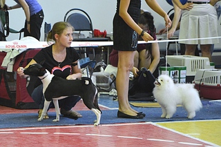 click for enlarge 1920 X 1280 878.2 Kb picture