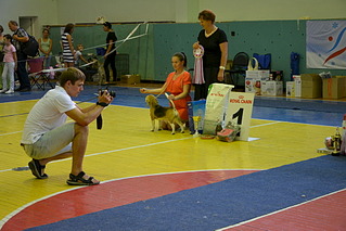 click for enlarge 1920 X 1281 589.3 Kb picture