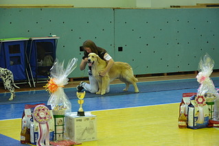 click for enlarge 1920 X 1281 496.6 Kb picture