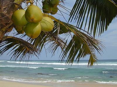 click for enlarge 640 X 480 131.2 Kb picture