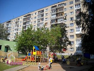 click for enlarge 500 X 375  51.8 Kb picture