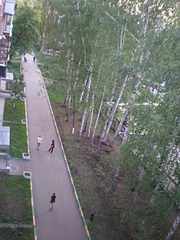 click for enlarge 1920 X 2560 984.0 Kb picture