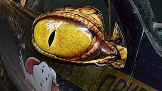 click for enlarge 400 X 225 24.5 Kb picture