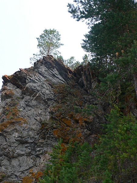 click for enlarge 1920 X 2560 641.9 Kb picture