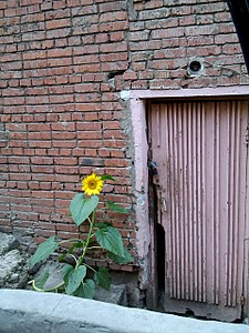 click for enlarge 1920 X 2560 663.2 Kb picture