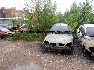 click for enlarge 1920 X 1440 447.5 Kb picture