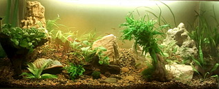 click for enlarge 1024 X 419 124.7 Kb picture