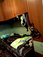 click for enlarge 768 X 1024 354.8 Kb picture