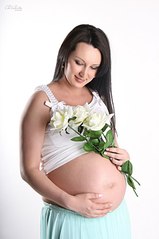 click for enlarge 537 X 807 48.4 Kb picture