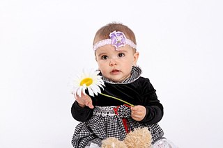 click for enlarge 807 X 538 43.2 Kb picture