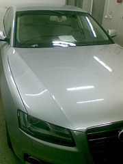 click for enlarge 1200 X 1600 192.3 Kb picture