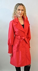 click for enlarge 162 X 300 33.4 Kb picture