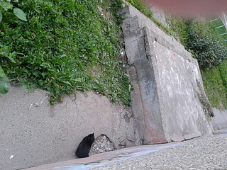 click for enlarge 1920 X 1440 406.9 Kb picture