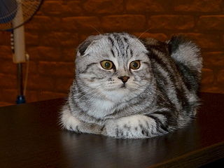 click for enlarge 1920 X 1440 230.0 Kb picture