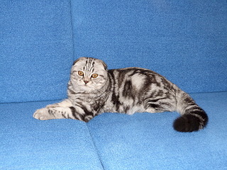 click for enlarge 1920 X 1440 435.4 Kb picture