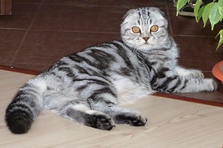 click for enlarge 1920 X 1270 676.2 Kb picture