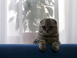 click for enlarge 1920 X 1440 541.7 Kb picture