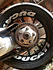 click for enlarge 1500 X 2000 295.2 Kb picture