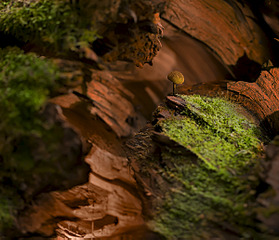 click for enlarge 1200 X 1029 502.3 Kb picture