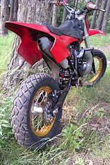 click for enlarge 1728 X 2592 716.9 Kb picture