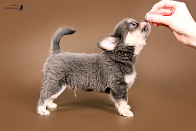 click for enlarge 1920 X 1280 477.0 Kb picture