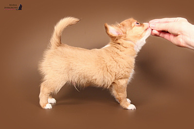 click for enlarge 1920 X 1280 384.4 Kb picture