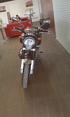 click for enlarge 1552 X 2592 967.9 Kb picture