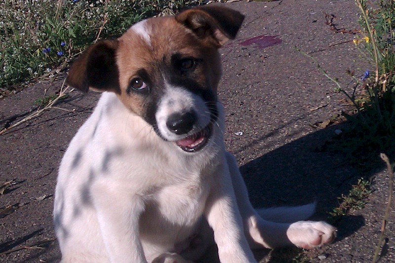 click for enlarge 1920 X 1280 509.0 Kb picture