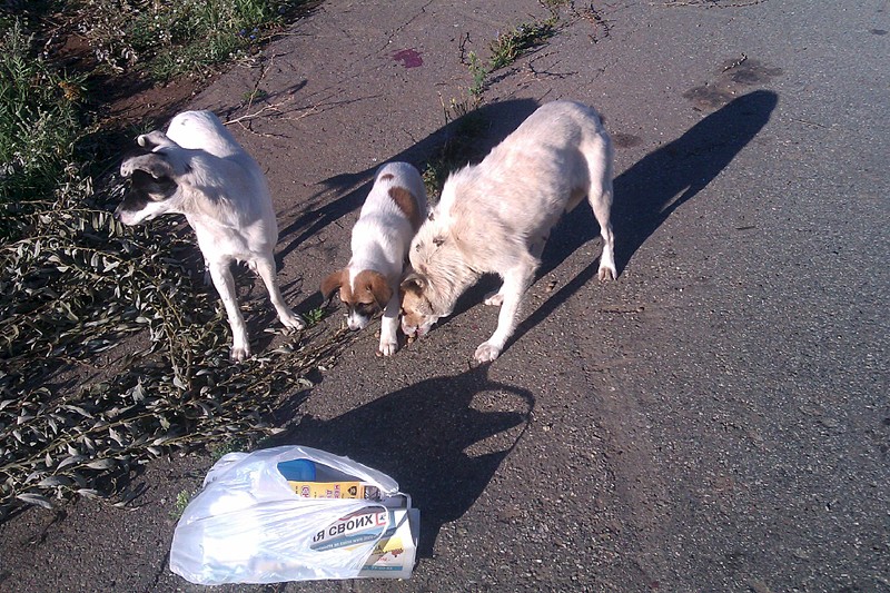 click for enlarge 1920 X 1280 853.2 Kb picture