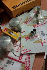 click for enlarge 1728 X 2592 718.6 Kb picture