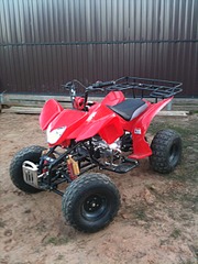 click for enlarge 480 X 640 121.8 Kb picture