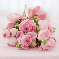 click for enlarge 370 X 370 24.2 Kb picture