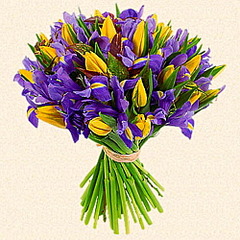 click for enlarge 500 X 500 131.4 Kb picture
