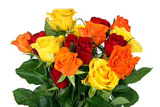 click for enlarge 1280 X 853 178.5 Kb picture