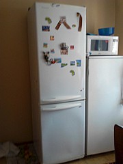 click for enlarge 1536 X 2048 331.1 Kb picture