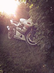 click for enlarge 720 X 960 78.9 Kb picture