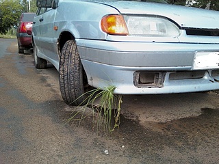 click for enlarge 1600 X 1200 587.0 Kb picture