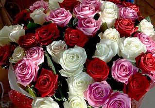 click for enlarge 500 X 349 97.5 Kb picture
