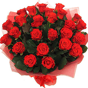 click for enlarge 600 X 600 159.7 Kb picture
