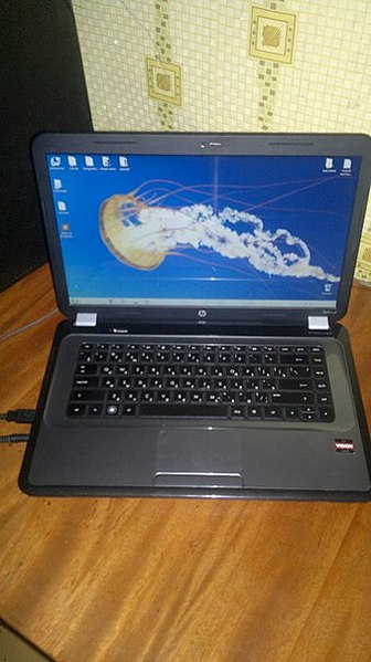 click for enlarge 339 X 604 41.6 Kb picture