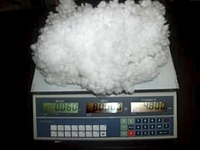 click for enlarge 300 X 225 36.3 Kb picture
