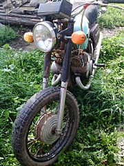 click for enlarge 1536 X 2048 502.6 Kb picture