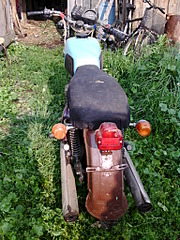 click for enlarge 1536 X 2048 505.1 Kb picture