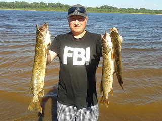 click for enlarge 1920 X 1440 835.9 Kb picture