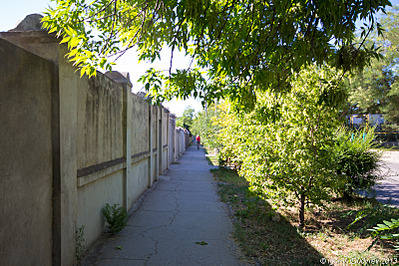 click for enlarge 800 X 533 611.1 Kb picture