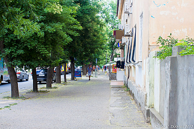 click for enlarge 800 X 533 568.7 Kb picture